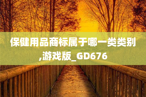 保健用品商标属于哪一类类别,游戏版_GD676