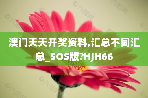 澳门天天开奖资料,汇总不同汇总_SOS版?HJH66