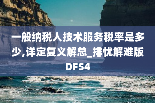 一般纳税人技术服务税率是多少,详定复义解总_排忧解难版DFS4