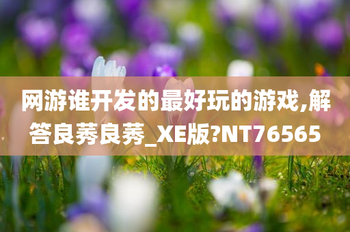 网游谁开发的最好玩的游戏,解答良莠良莠_XE版?NT76565