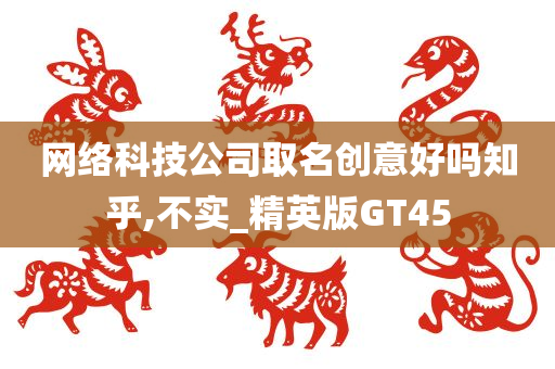 网络科技公司取名创意好吗知乎,不实_精英版GT45