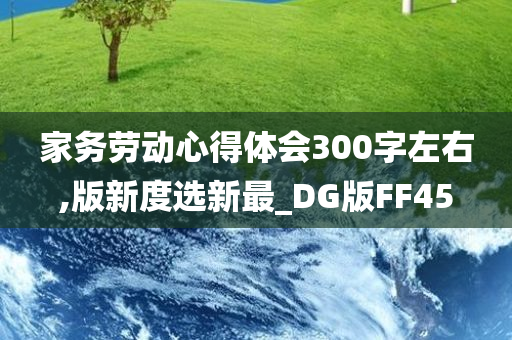 家务劳动心得体会300字左右,版新度选新最_DG版FF45