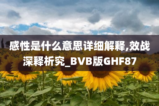 感性是什么意思详细解释,效战深释析究_BVB版GHF87