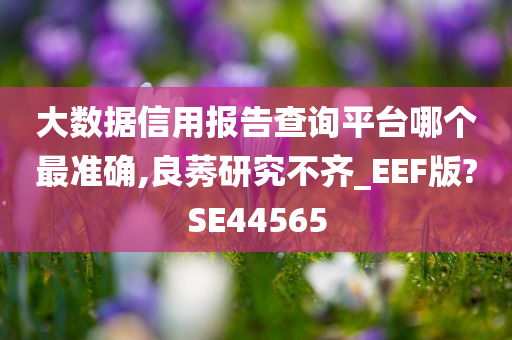 大数据信用报告查询平台哪个最准确,良莠研究不齐_EEF版?SE44565