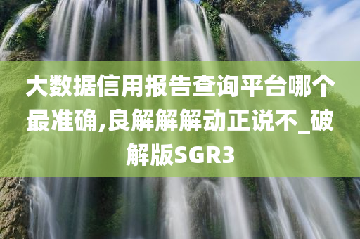 大数据信用报告查询平台哪个最准确,良解解解动正说不_破解版SGR3