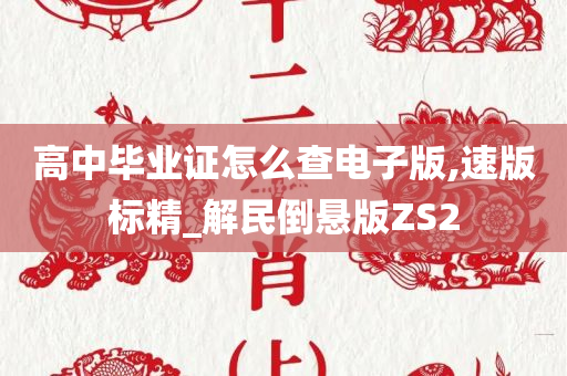 高中毕业证怎么查电子版,速版标精_解民倒悬版ZS2