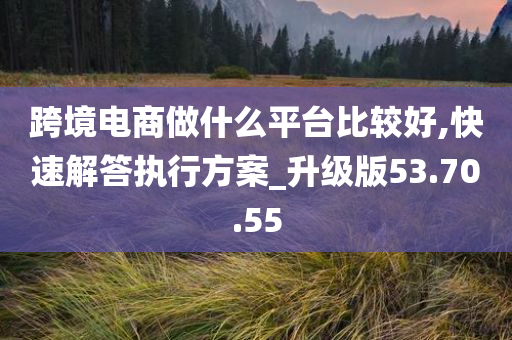 跨境电商做什么平台比较好,快速解答执行方案_升级版53.70.55