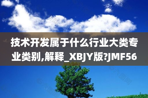 技术开发属于什么行业大类专业类别,解释_XBJY版?JMF56