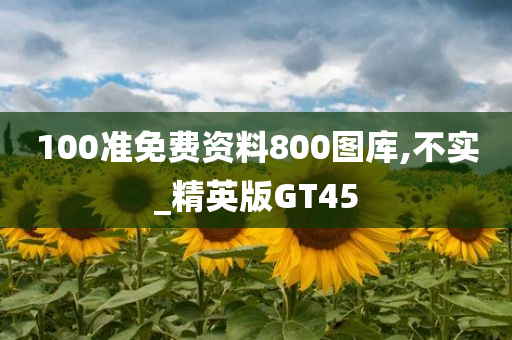 100准免费资料800图库,不实_精英版GT45