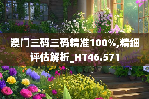 澳门三码三码精准100%,精细评估解析_HT46.571