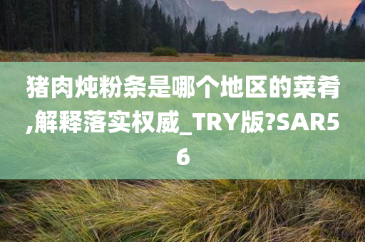 猪肉炖粉条是哪个地区的菜肴,解释落实权威_TRY版?SAR56