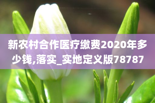 新农村合作医疗缴费2020年多少钱,落实_实地定义版78787