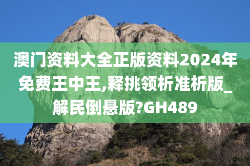 澳门资料大全正版资料2024年免费王中王,释挑领析准析版_解民倒悬版?GH489