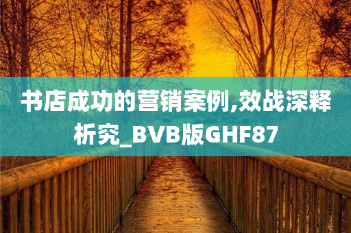 书店成功的营销案例,效战深释析究_BVB版GHF87