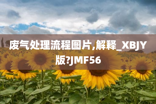 废气处理流程图片,解释_XBJY版?JMF56