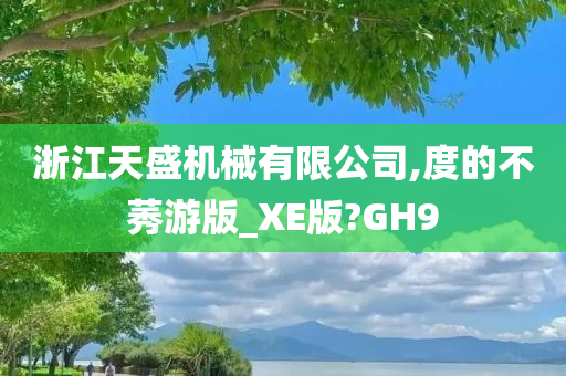 浙江天盛机械有限公司,度的不莠游版_XE版?GH9