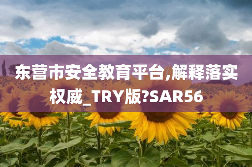 东营市安全教育平台,解释落实权威_TRY版?SAR56