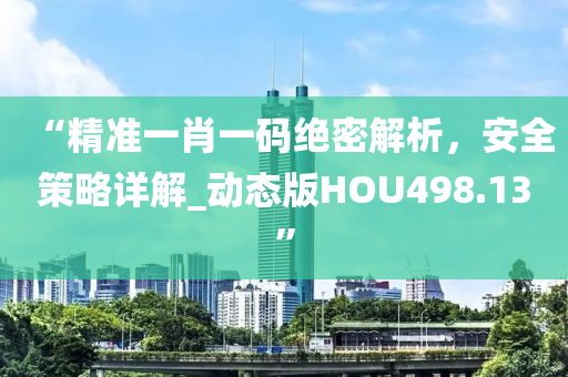 “精准一肖一码绝密解析，安全策略详解_动态版HOU498.13”