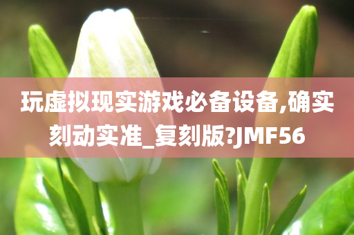 玩虚拟现实游戏必备设备,确实刻动实准_复刻版?JMF56