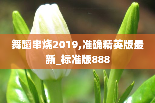 舞蹈串烧2019,准确精英版最新_标准版888