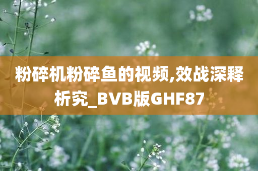 粉碎机粉碎鱼的视频,效战深释析究_BVB版GHF87