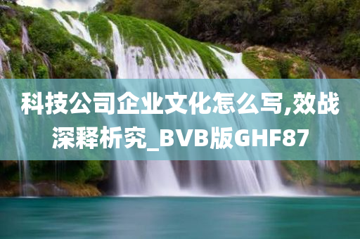 科技公司企业文化怎么写,效战深释析究_BVB版GHF87