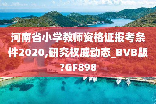 河南省小学教师资格证报考条件2020,研究权威动态_BVB版?GF898