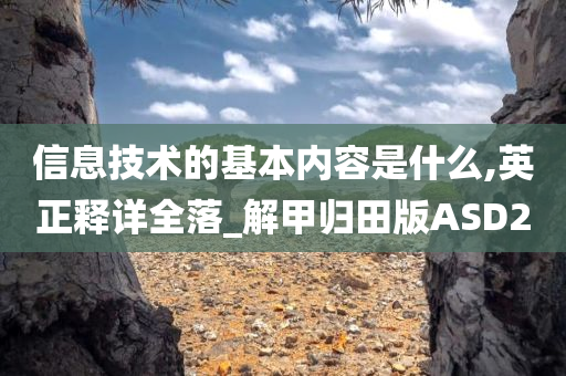 信息技术的基本内容是什么,英正释详全落_解甲归田版ASD2