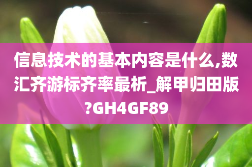 信息技术的基本内容是什么,数汇齐游标齐率最析_解甲归田版?GH4GF89