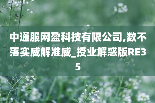 中通服网盈科技有限公司,数不落实威解准威_授业解惑版RE35