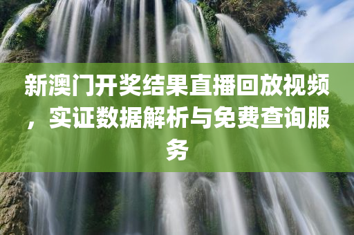 新澳门开奖结果直播回放视频，实证数据解析与免费查询服务