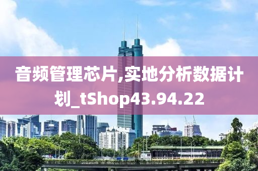 音频管理芯片,实地分析数据计划_tShop43.94.22