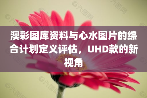 澳彩图库资料与心水图片的综合计划定义评估，UHD款的新视角