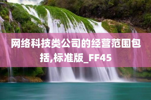 网络科技类公司的经营范围包括,标准版_FF45