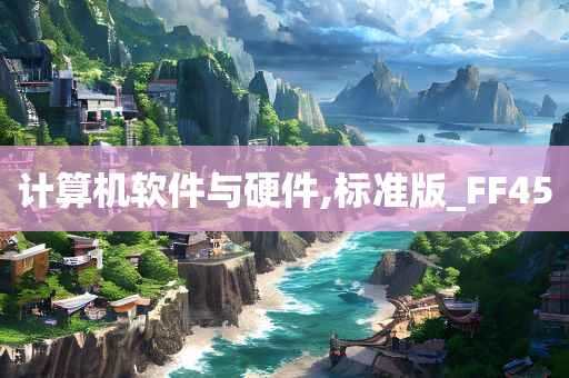 计算机软件与硬件,标准版_FF45