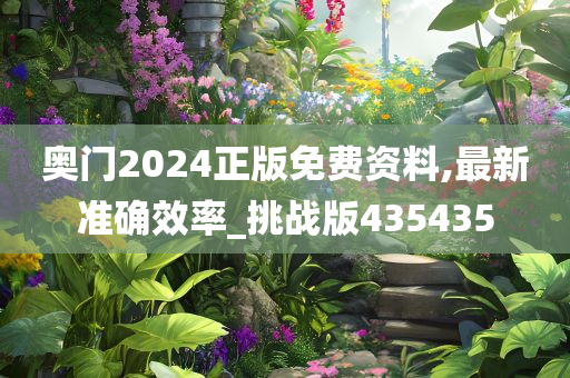 奥门2024正版免费资料,最新准确效率_挑战版435435