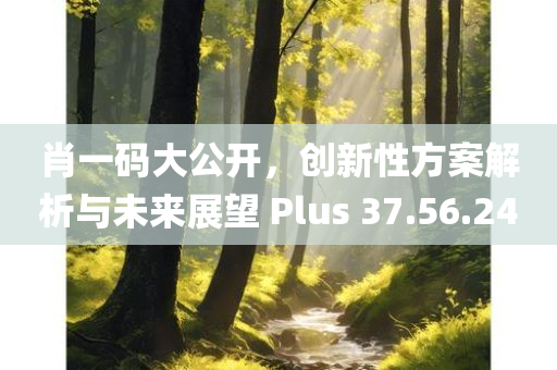 肖一码大公开，创新性方案解析与未来展望 Plus 37.56.24