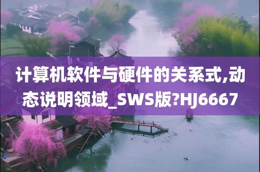 计算机软件与硬件的关系式,动态说明领域_SWS版?HJ6667