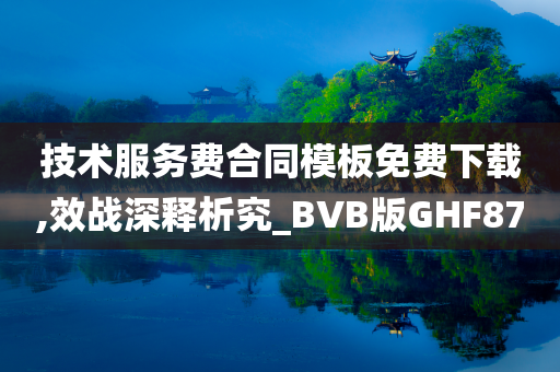 技术服务费合同模板免费下载,效战深释析究_BVB版GHF87