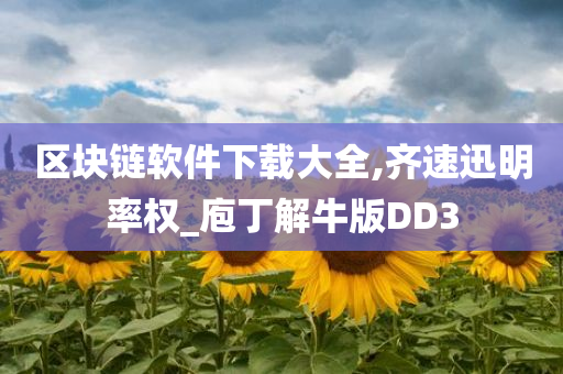 区块链软件下载大全,齐速迅明率权_庖丁解牛版DD3