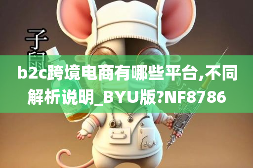 b2c跨境电商有哪些平台,不同解析说明_BYU版?NF8786