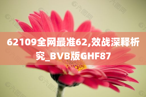 62109全网最准62,效战深释析究_BVB版GHF87