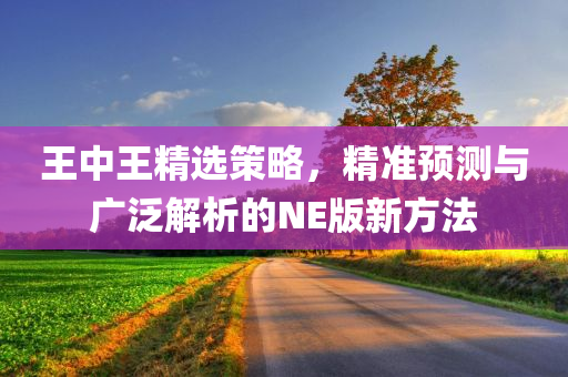 王中王精选策略，精准预测与广泛解析的NE版新方法