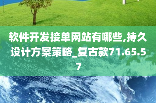 软件开发接单网站有哪些,持久设计方案策略_复古款71.65.57