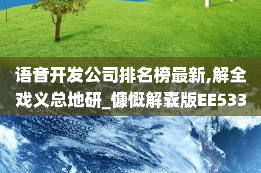 语音开发公司排名榜最新,解全戏义总地研_慷慨解囊版EE533