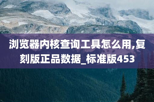 浏览器内核查询工具怎么用,复刻版正品数据_标准版453