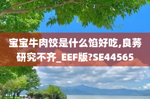 宝宝牛肉饺是什么馅好吃,良莠研究不齐_EEF版?SE44565