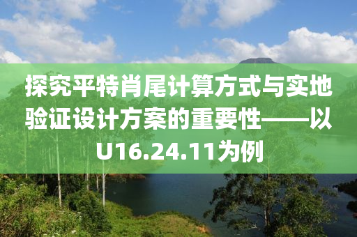 探究平特肖尾计算方式与实地验证设计方案的重要性——以U16.24.11为例