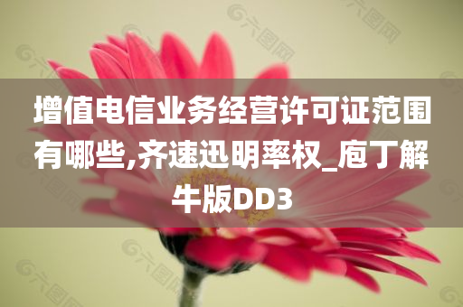 增值电信业务经营许可证范围有哪些,齐速迅明率权_庖丁解牛版DD3