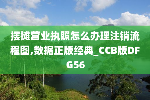 摆摊营业执照怎么办理注销流程图,数据正版经典_CCB版DFG56